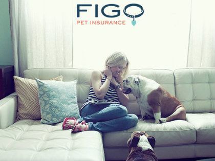 FIGO Pet Insurance ad with a woman sitting next to 2 dogs